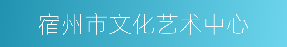 宿州市文化艺术中心的同义词