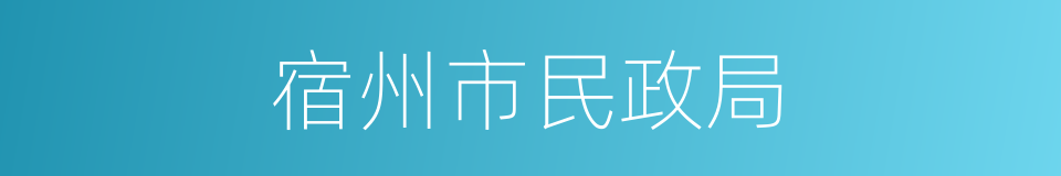 宿州市民政局的同义词