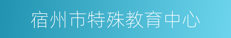 宿州市特殊教育中心的同义词