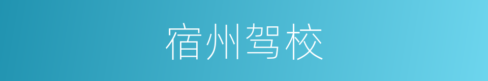 宿州驾校的同义词