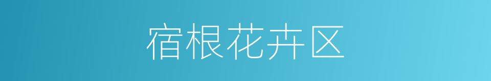 宿根花卉区的同义词