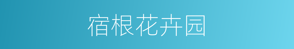 宿根花卉园的同义词