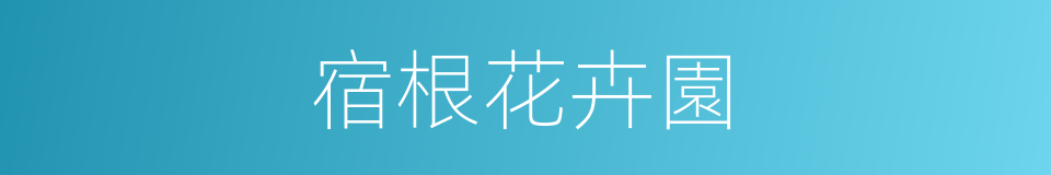 宿根花卉園的同義詞