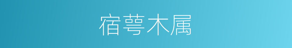 宿萼木属的同义词