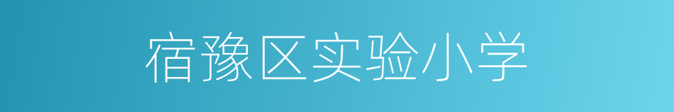 宿豫区实验小学的同义词