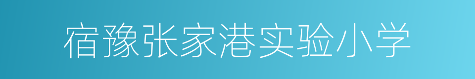 宿豫张家港实验小学的同义词