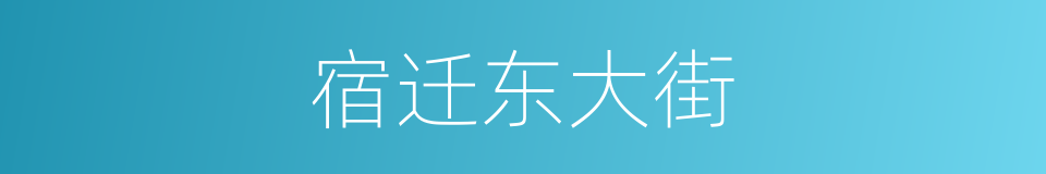 宿迁东大街的同义词