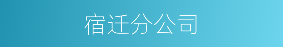 宿迁分公司的同义词