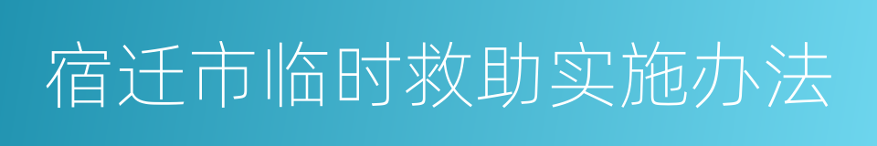 宿迁市临时救助实施办法的同义词