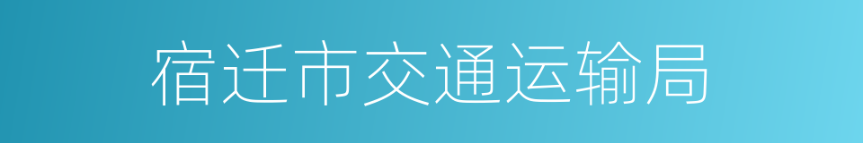 宿迁市交通运输局的同义词