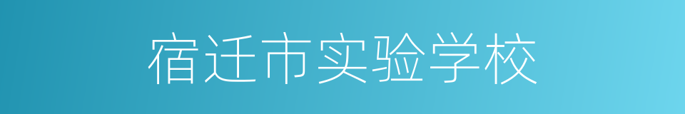 宿迁市实验学校的同义词