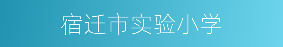 宿迁市实验小学的意思