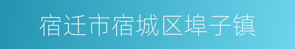 宿迁市宿城区埠子镇的同义词