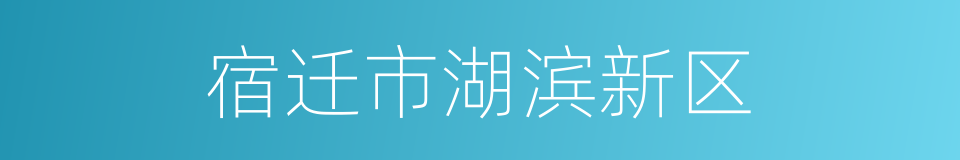 宿迁市湖滨新区的同义词