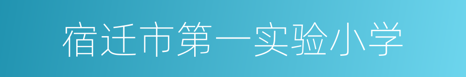 宿迁市第一实验小学的同义词