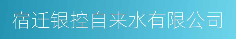 宿迁银控自来水有限公司的同义词