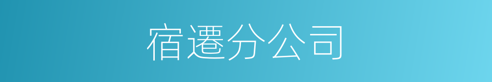 宿遷分公司的同義詞