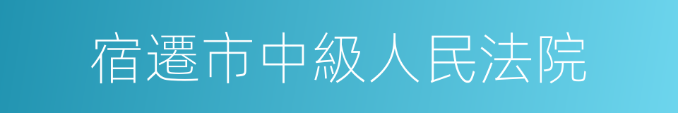 宿遷市中級人民法院的同義詞