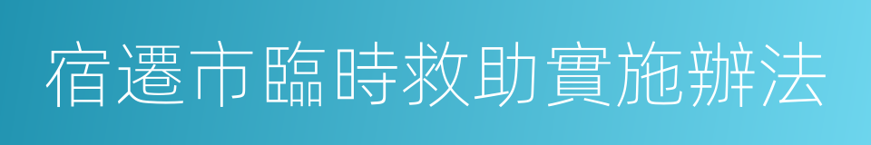 宿遷市臨時救助實施辦法的同義詞