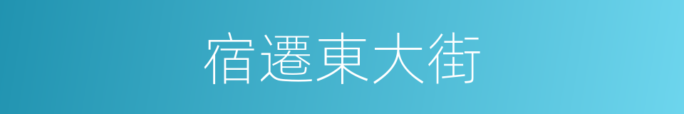 宿遷東大街的同義詞