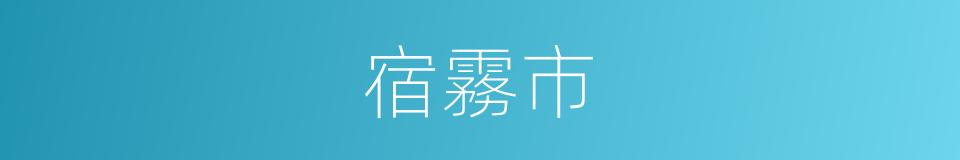 宿霧市的意思