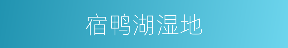 宿鸭湖湿地的同义词