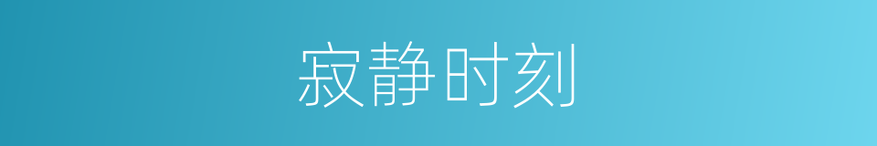 寂静时刻的同义词