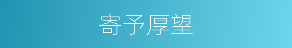 寄予厚望的意思