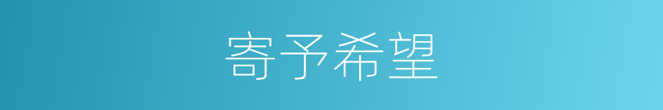 寄予希望的同义词