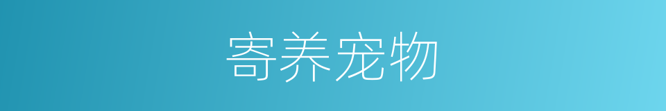 寄养宠物的同义词