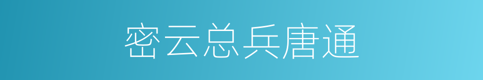 密云总兵唐通的同义词