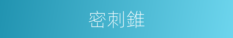 密刺錐的同義詞