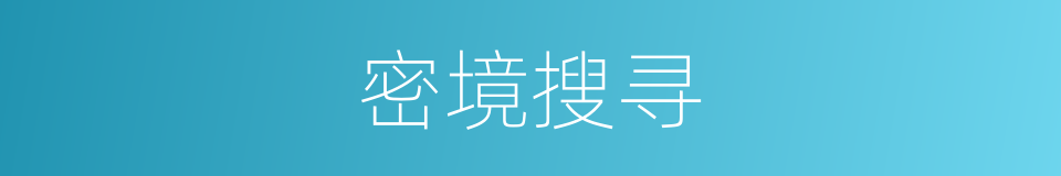密境搜寻的同义词