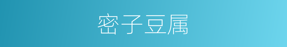 密子豆属的同义词