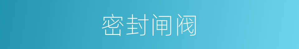 密封闸阀的同义词