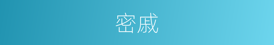密戚的意思