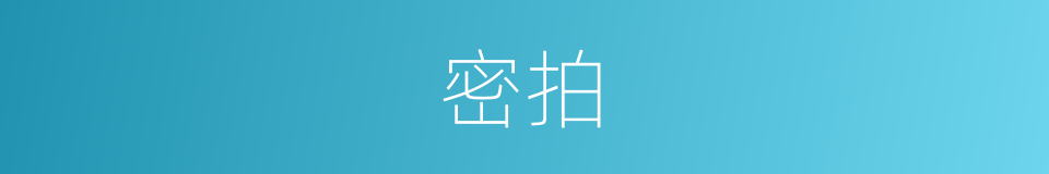 密拍的意思