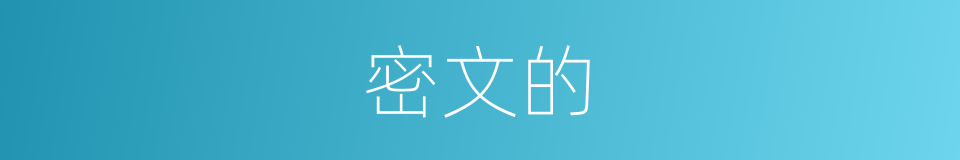 密文的的同义词