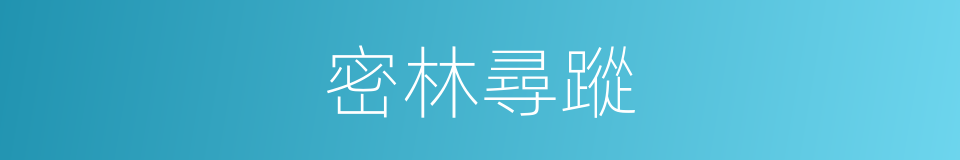 密林尋蹤的同義詞