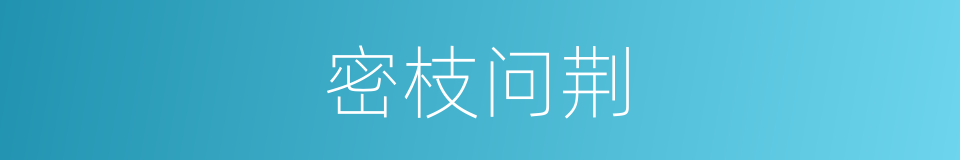 密枝问荆的同义词