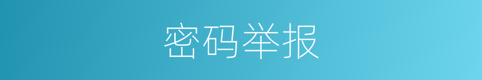 密码举报的同义词