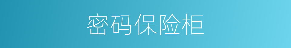 密码保险柜的同义词