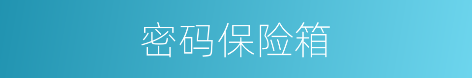 密码保险箱的同义词