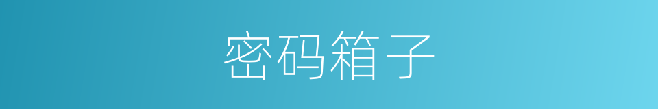 密码箱子的同义词