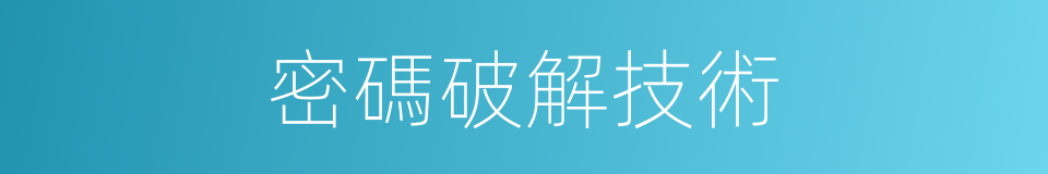 密碼破解技術的同義詞