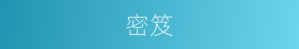 密笈的意思