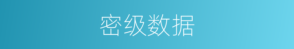 密级数据的同义词