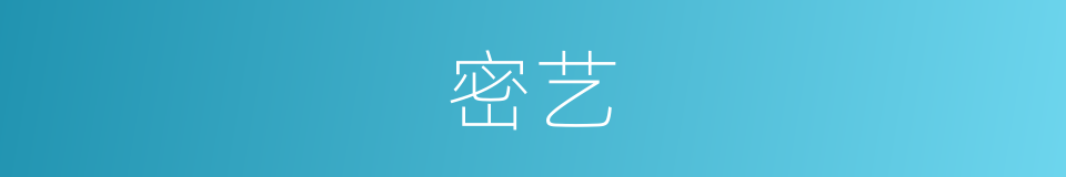 密艺的同义词