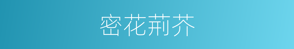 密花荊芥的同義詞