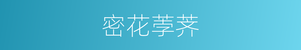 密花荸荠的同义词